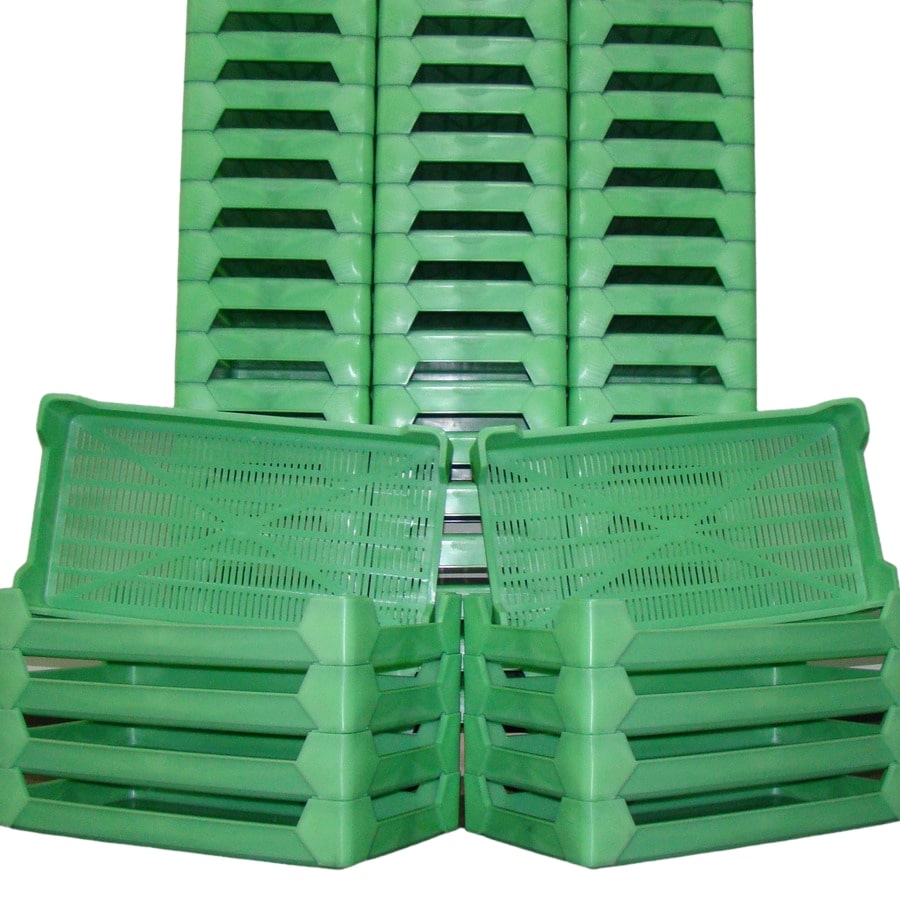 Fruit Drying Trays and Racks